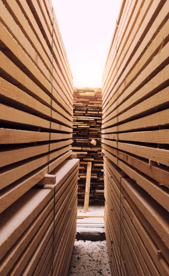 Drewno do składów drzewnych