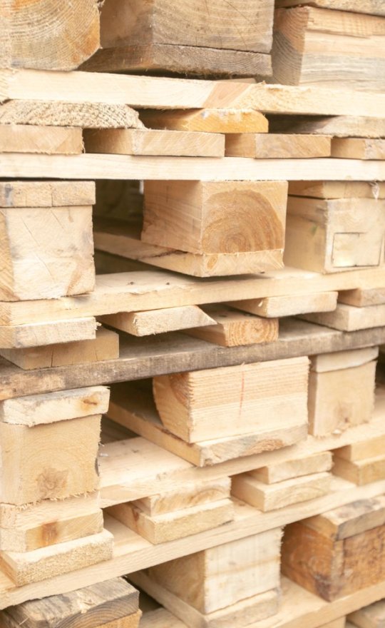 Branża logistyczna drewno