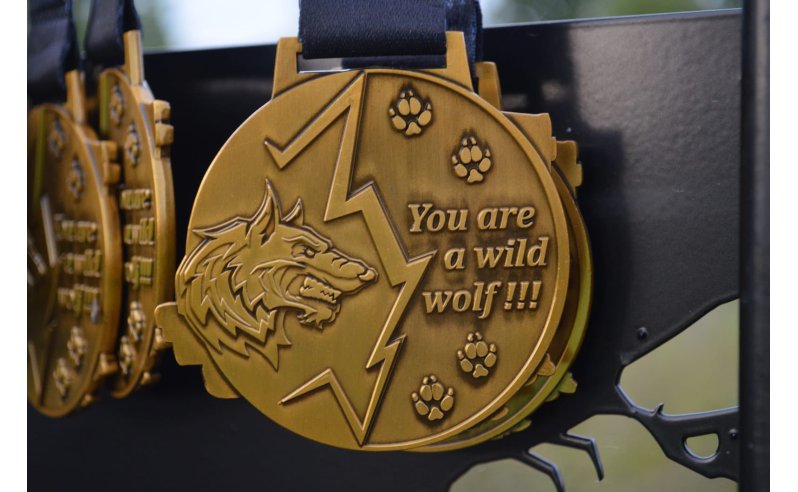 Współpraca ze Stowarzyszeniem WOLF RACE OCR